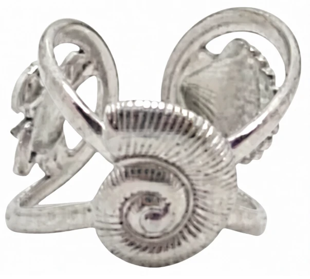 Anillo de acero quirurgico caracol ostra conejo